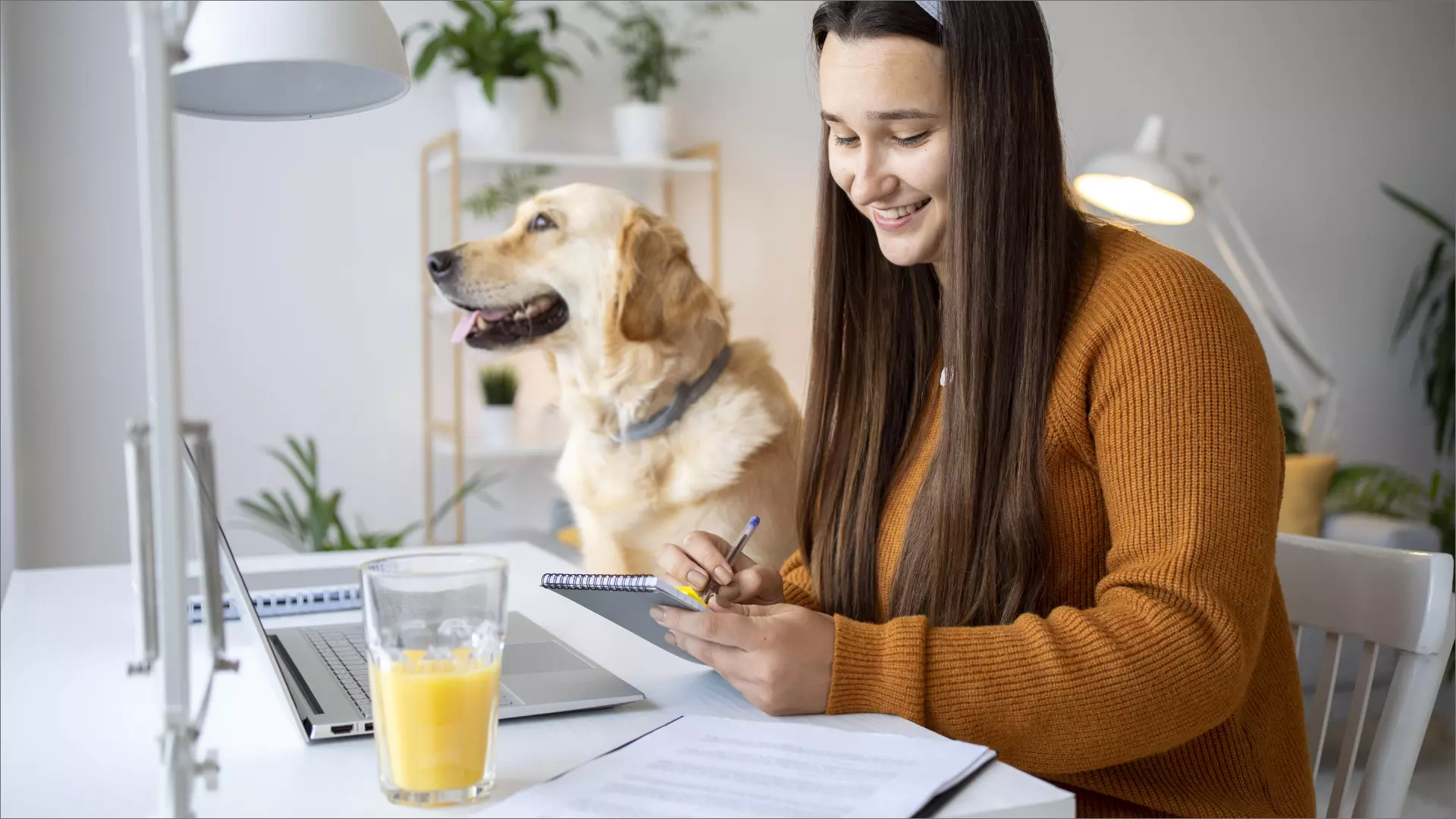 Explore Marketing Strategies To Launch A Pet Business